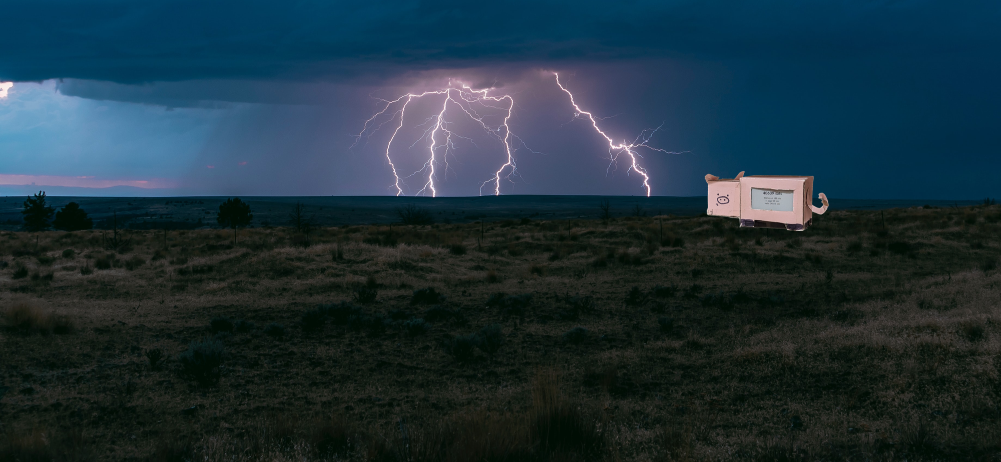 Lightning Piggy